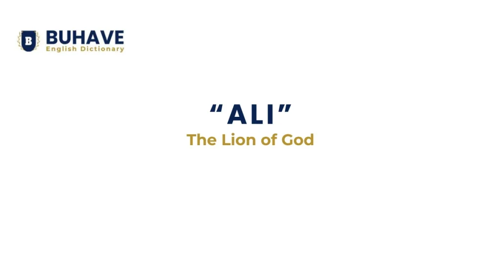 ALI Meaning and Definition