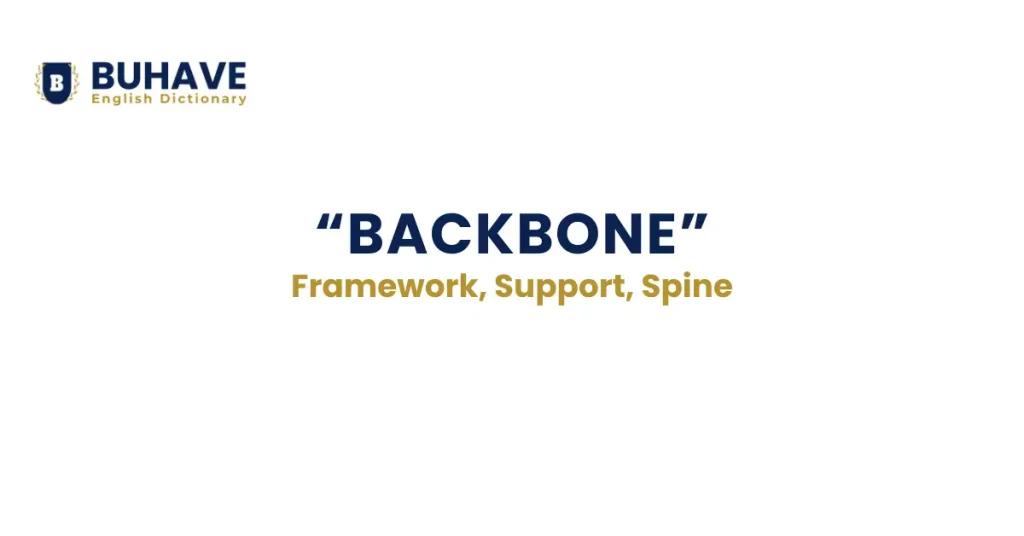 Backbone – Meaning, Definition, Synonyms, and Antonyms