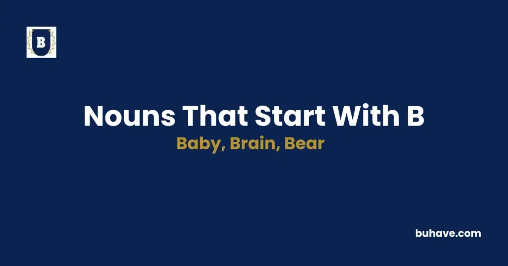 Nouns that start with b