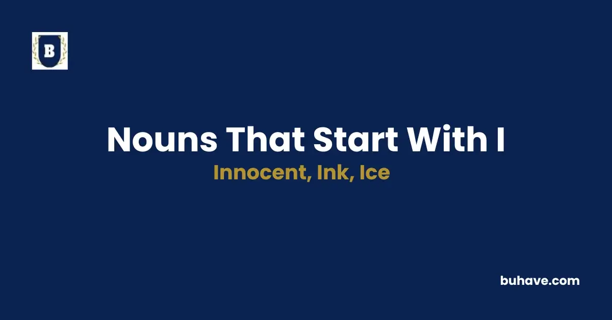 Nouns that start with i