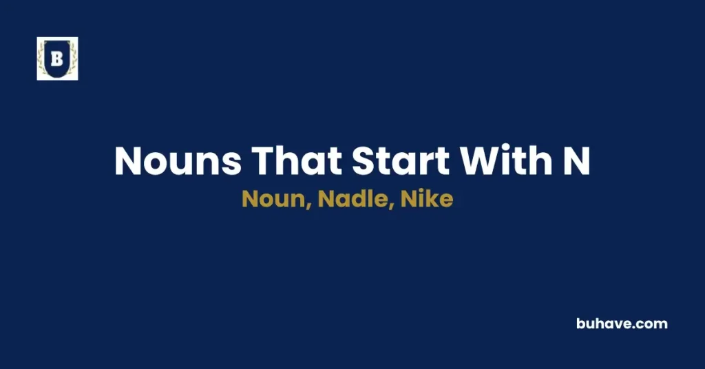 Nouns that start with n