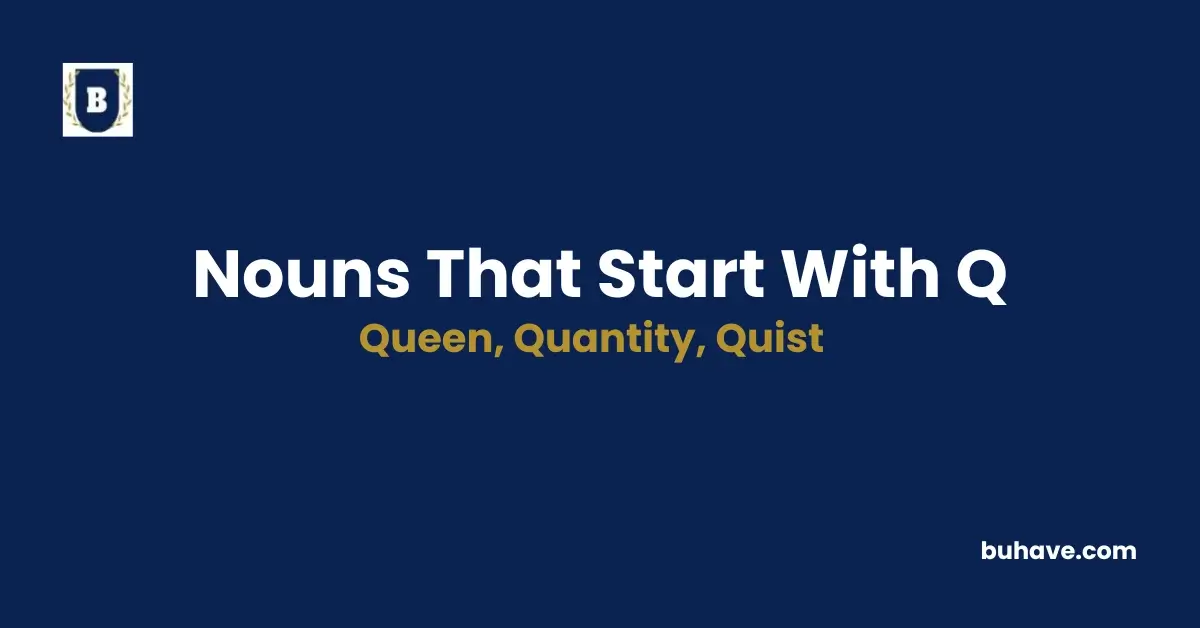 Nouns that start with q