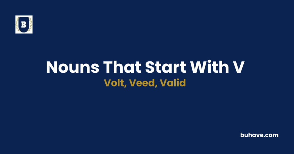 Nouns that start with v