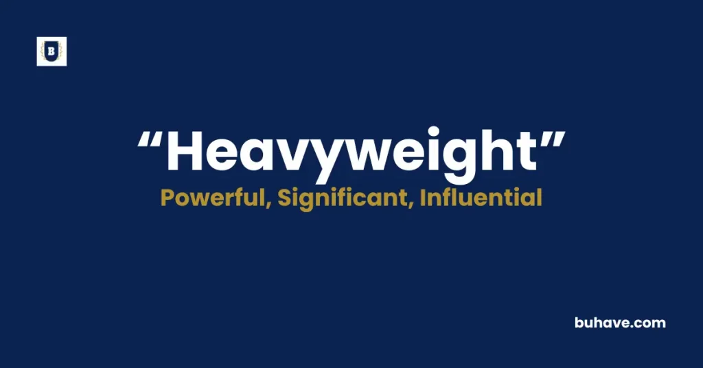 Heavyweight Meaning Definition Synonyms Antonyms