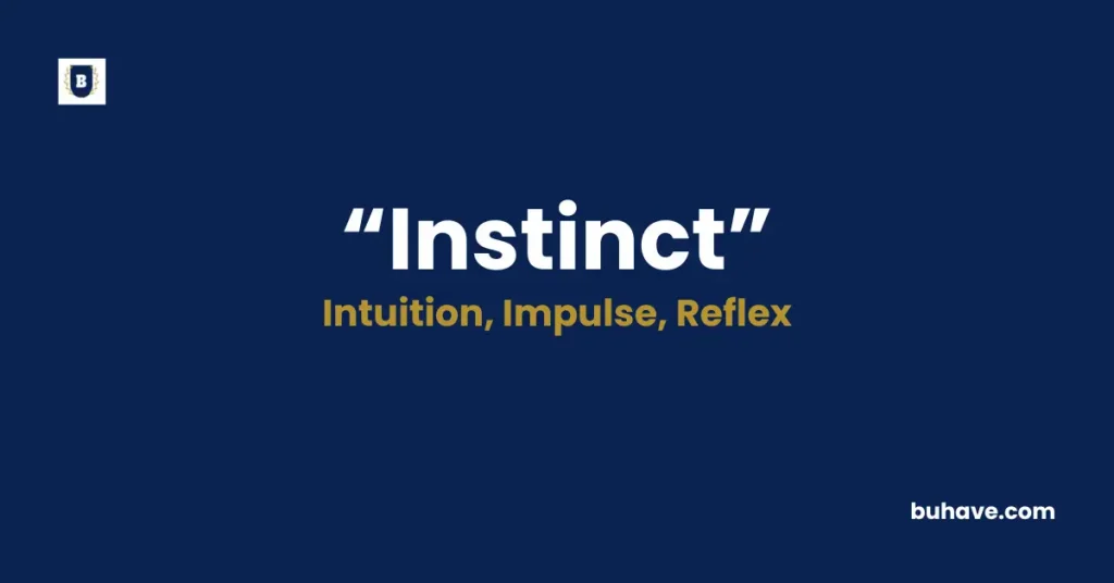 Instinct Meaning Definition Synonyms Antonyms