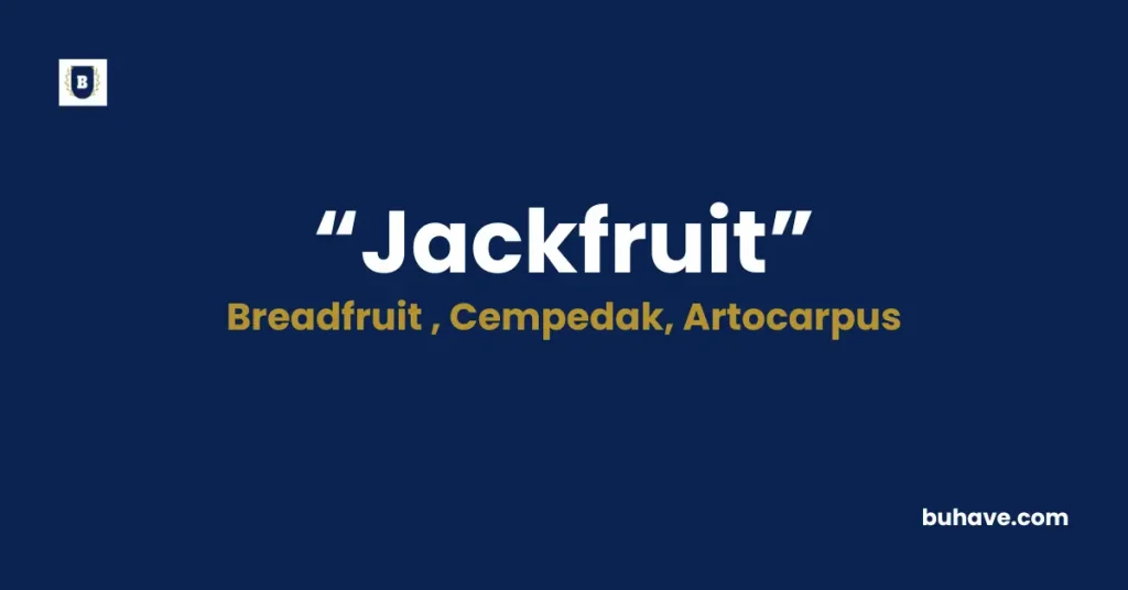 Jackfruit Meaning Definition Synonyms Antonyms