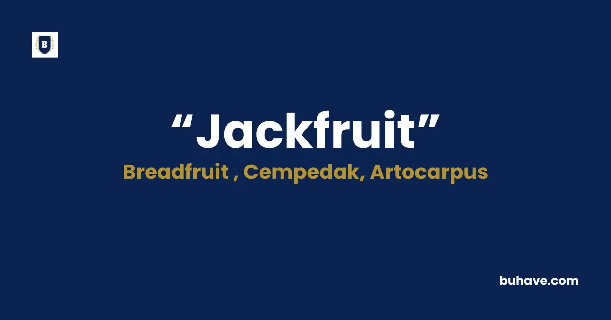 Jackfruit Meaning Definition Synonyms Antonyms