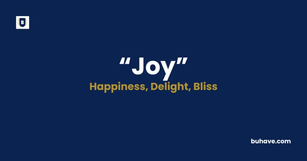 Joy Meaning Definition Synonyms Antonyms