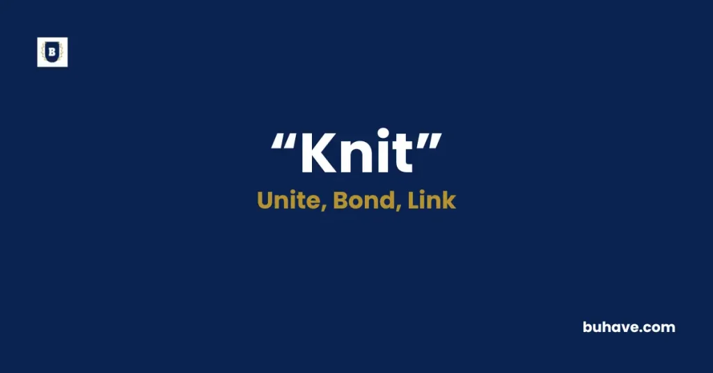 Knit Meaning Definition Synonyms Antonyms