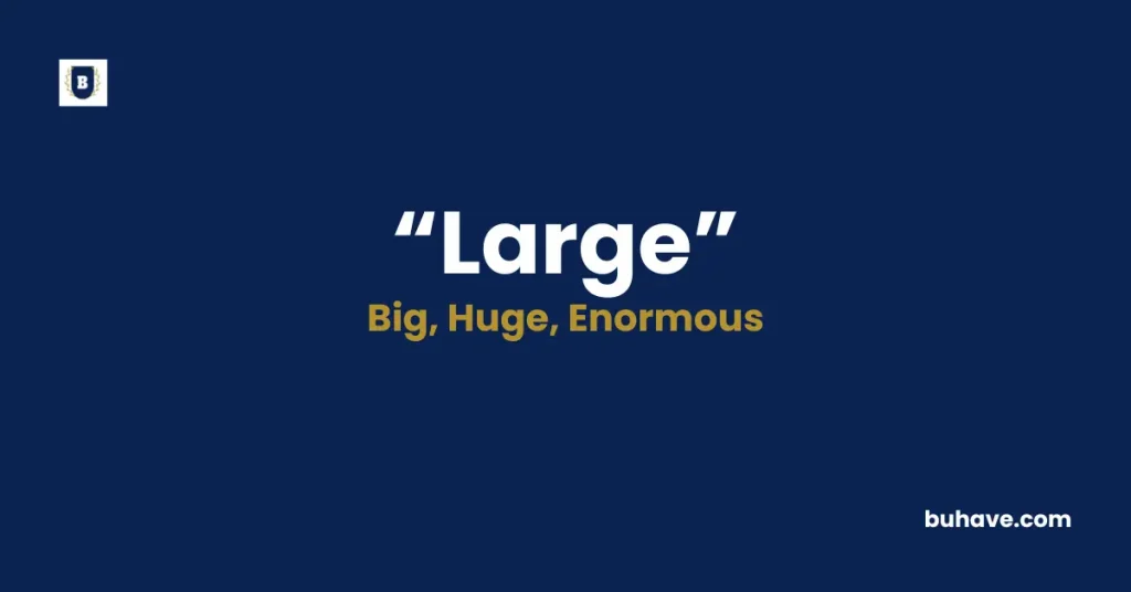 Large Meaning Definition Synonyms Antonyms