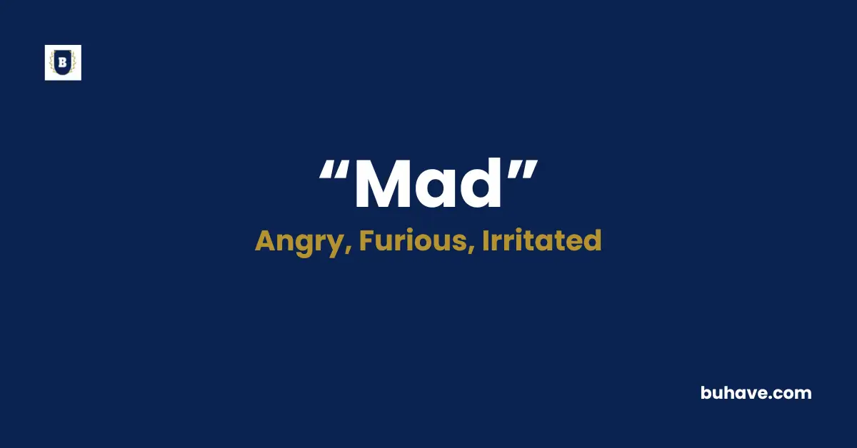 Mad Meaning Definition Synonyms Antonyms