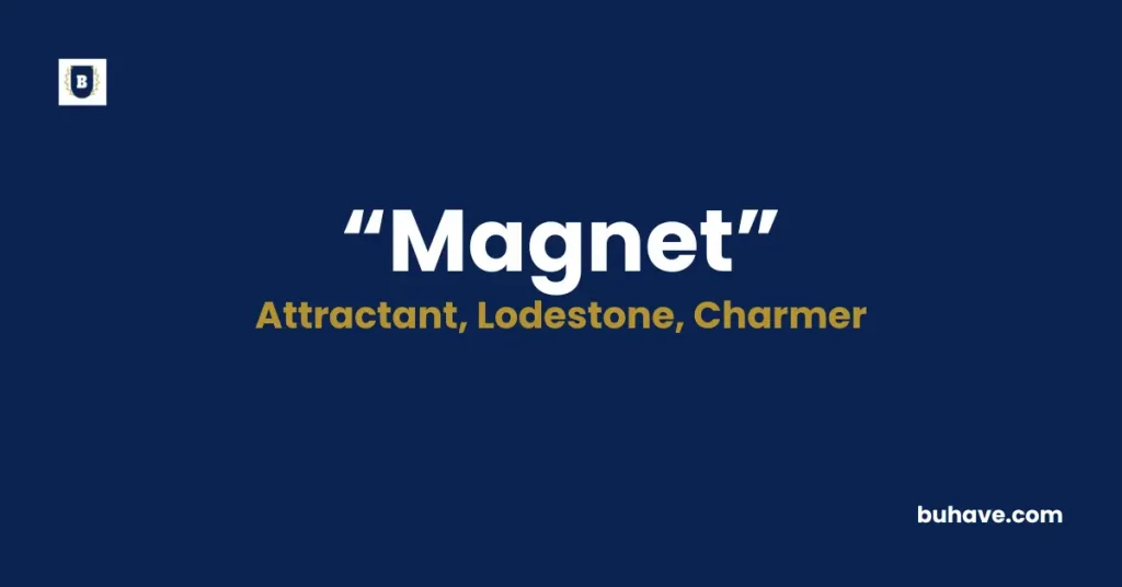 Magnet Meaning Definition Synonyms Antonyms
