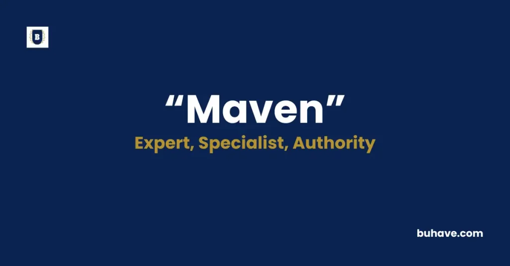 Maven Meaning Definition Synonyms Antonyms