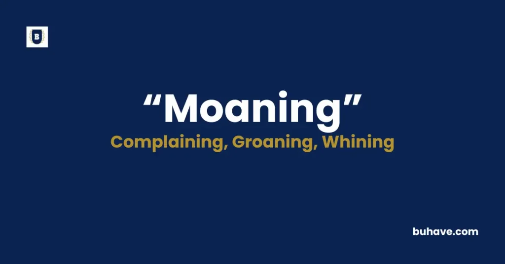 Moaning Meaning Definition Synonyms Antonyms