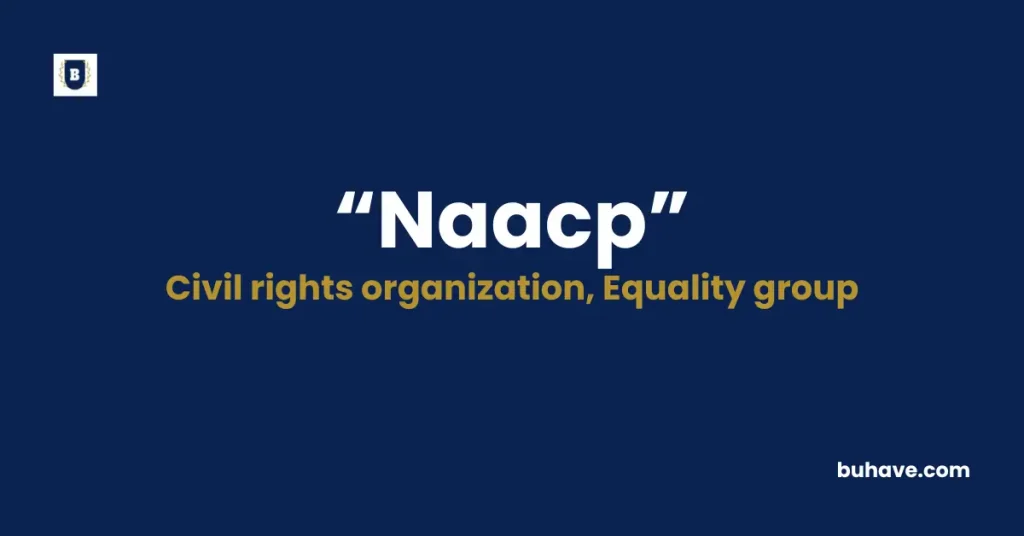 Naacp Meaning Definition Synonyms Antonyms