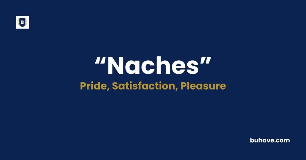 Naches Meaning Definition Synonyms Antonyms