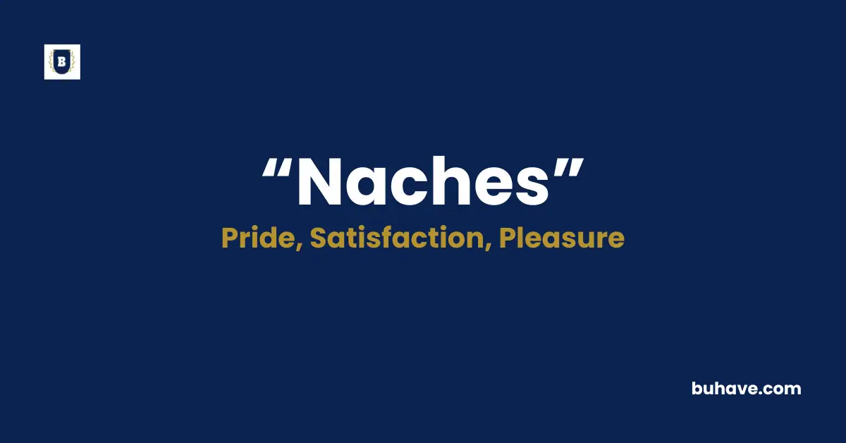 Naches Meaning Definition Synonyms Antonyms