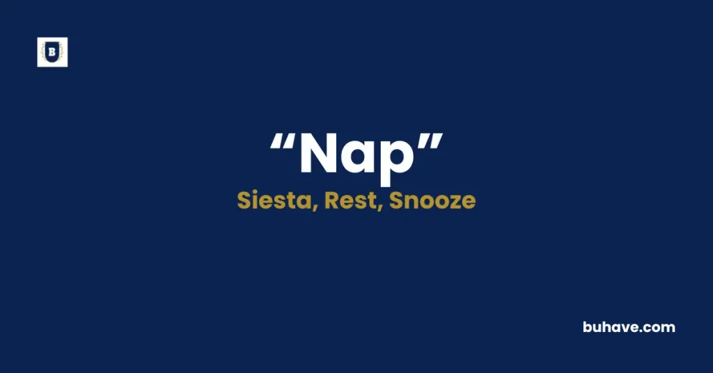 Nap Meaning Definition Synonyms Antonyms