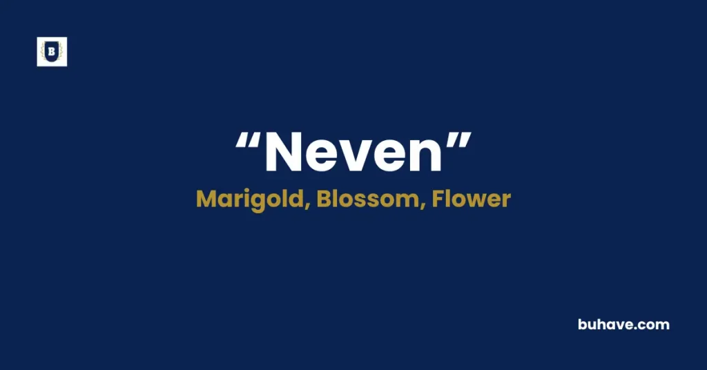 Neven Meaning Definition Synonyms Antonyms