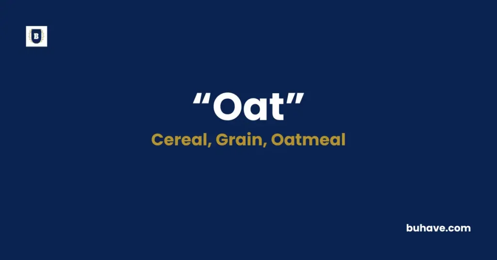 Oat Meaning Definition Synonyms Antonyms