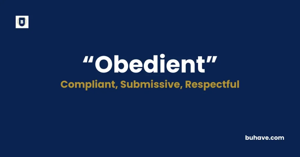 Obedient Meaning Definition Synonyms Antonyms