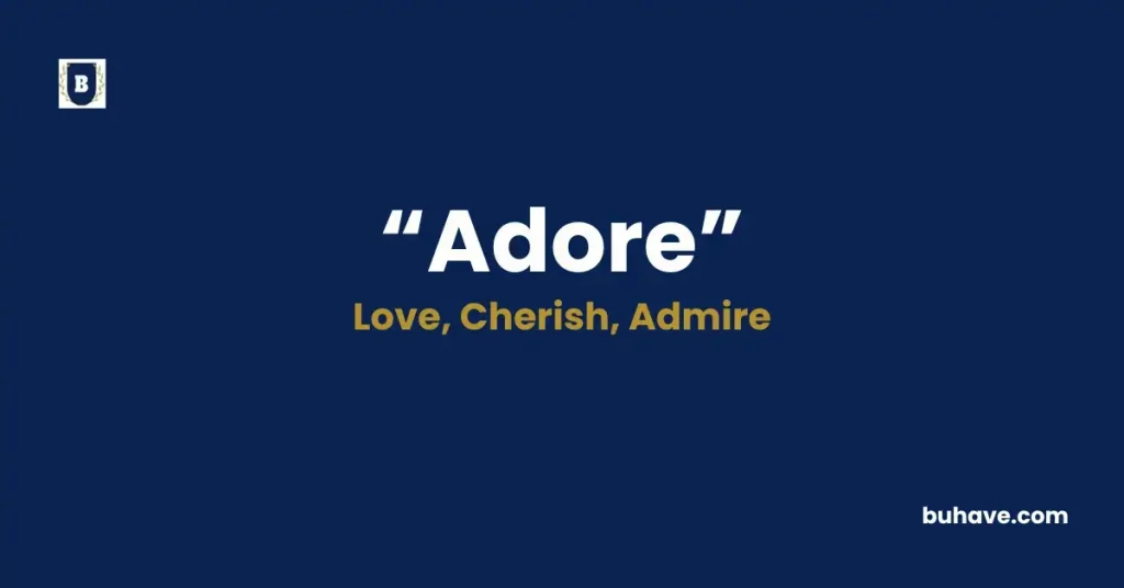 Adore - Meaning, Definition, Synonyms and Antonyms