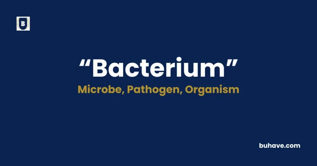 Bacterium - Meaning, Definition, Synonyms, and Antonyms