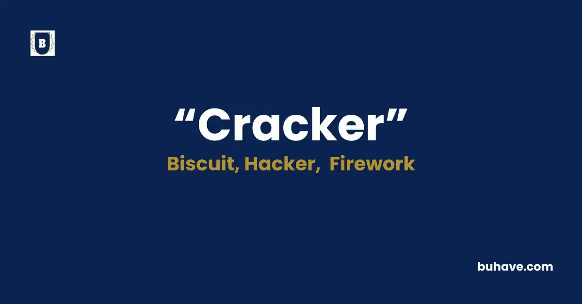 Cracker - Meaning, Definition, Synonyms and Antonyms