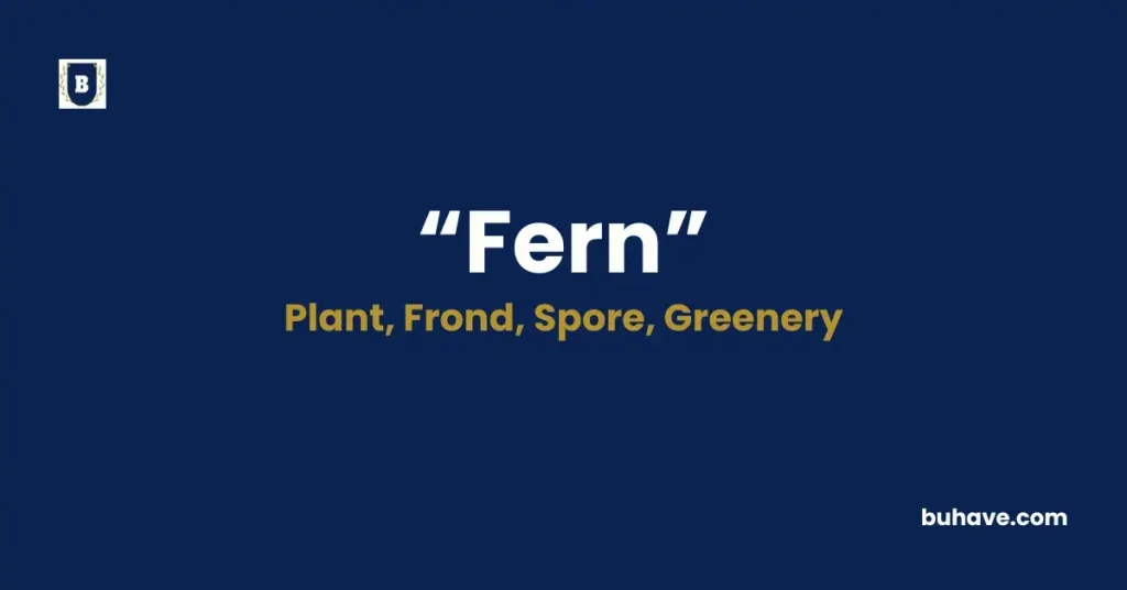Fern - Meaning, Definition, Synonyms, and Antonyms