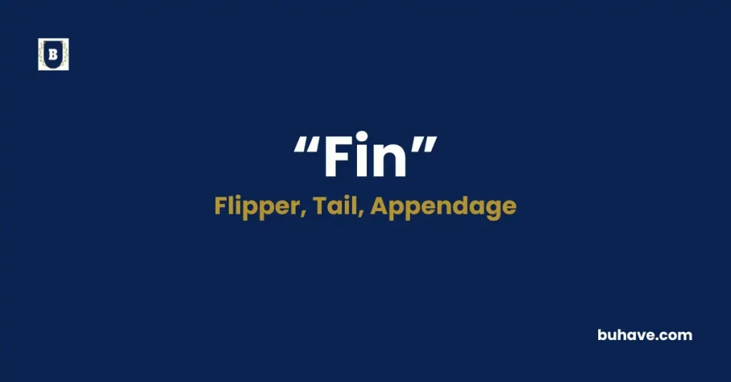 Fin - Meaning, Definition, Synonyms, and Antonyms