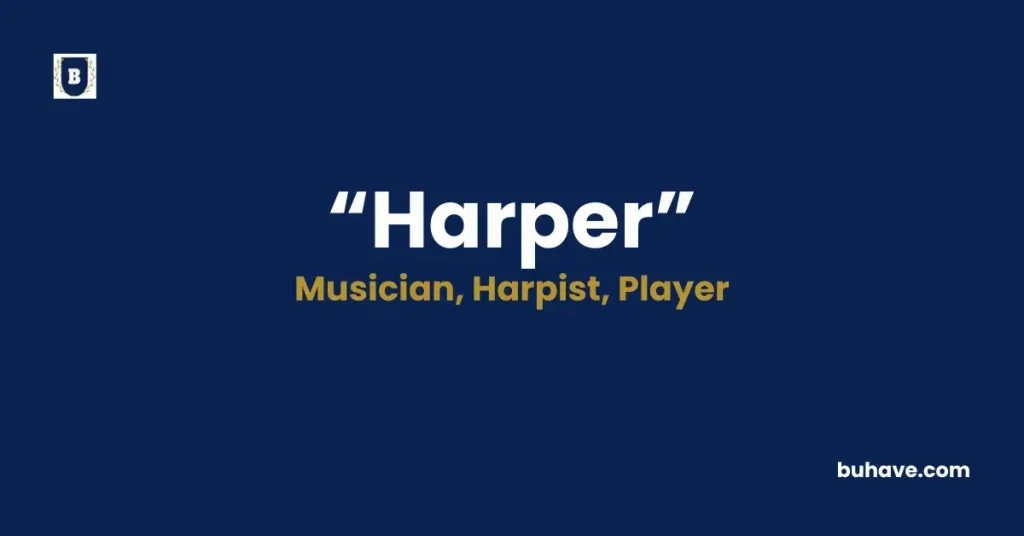 Harper - Meaning, Definition, Synonyms, and Antonyms