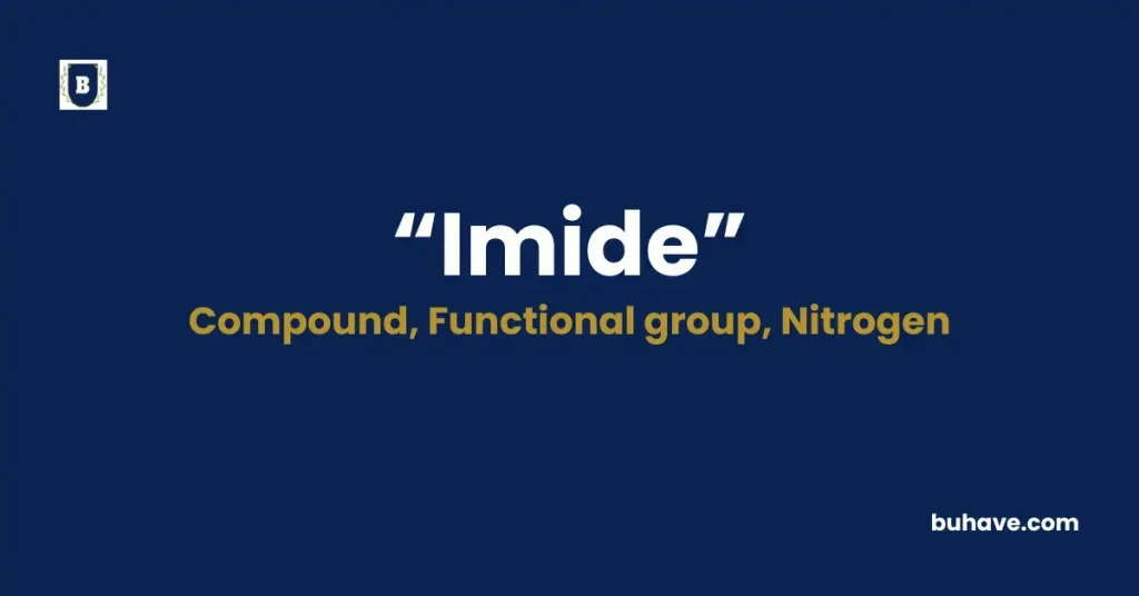 Imide- Meaning, Definition, Synonyms, and Antonyms