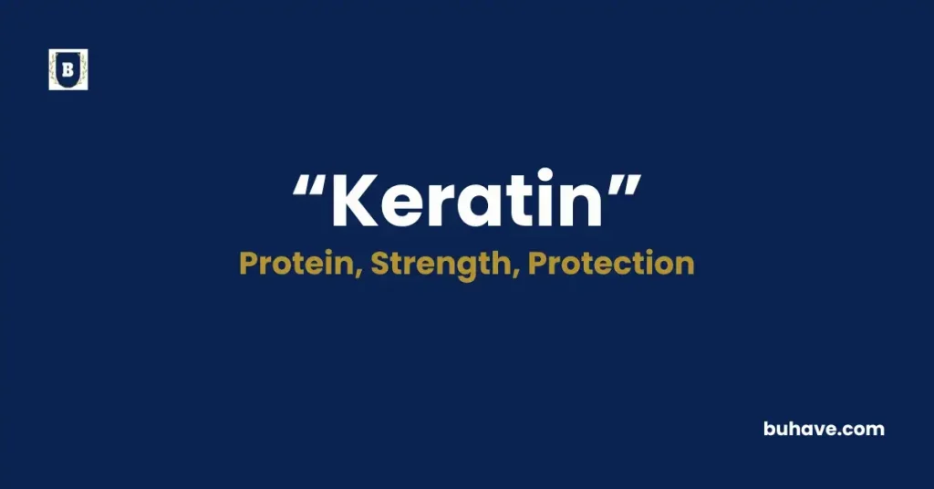 Keratin - Meaning, Definition, Synonyms and Antonyms