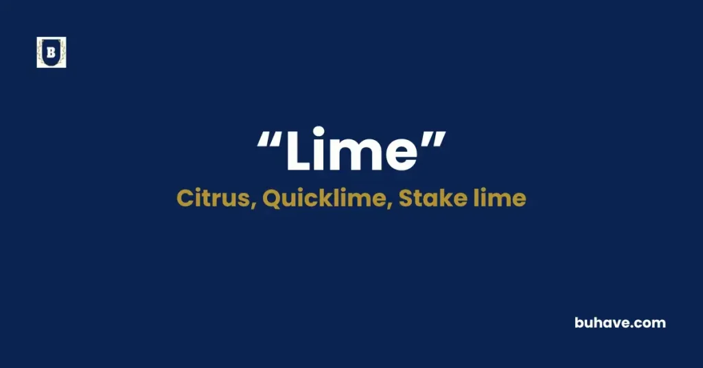 Lime - Meaning, Definition, Synonyms and Antonyms
