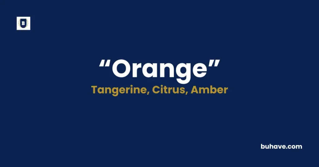 Orange Meaning Definition Synonyms Antonyms