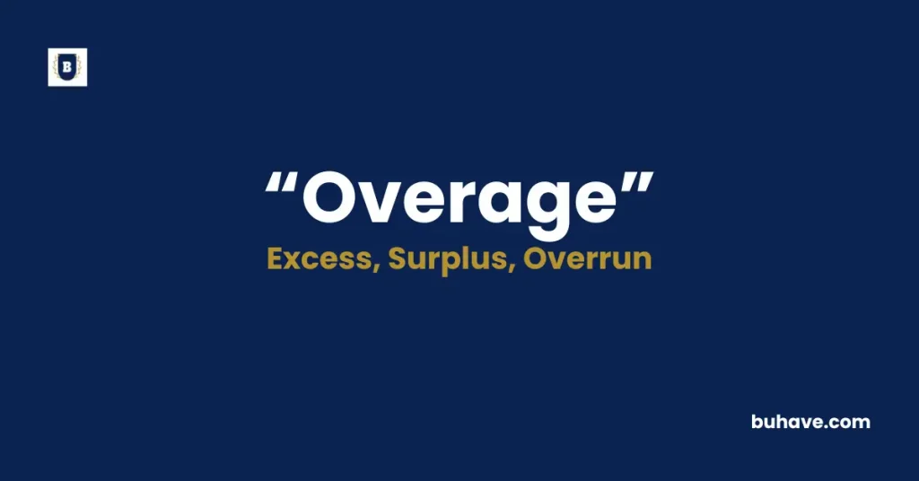 Overage Meaning Definition Synonyms Antonyms