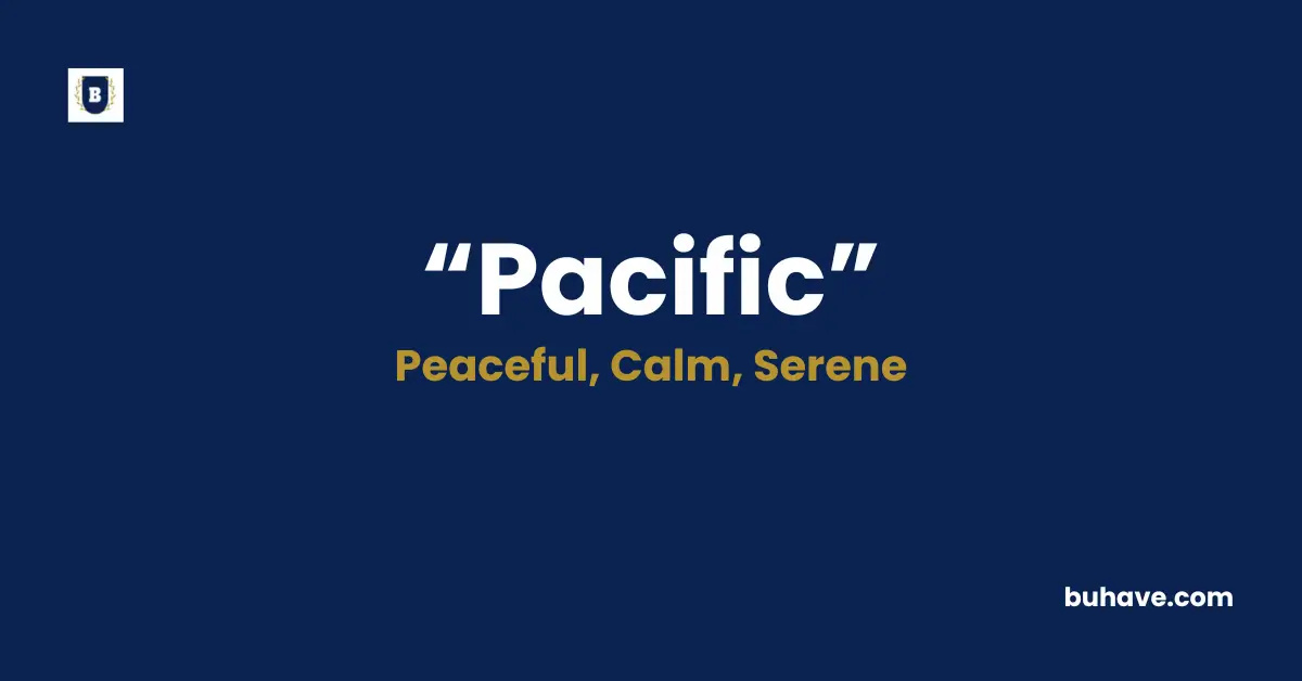 Pacific Meaning Definition Synonyms Antonyms