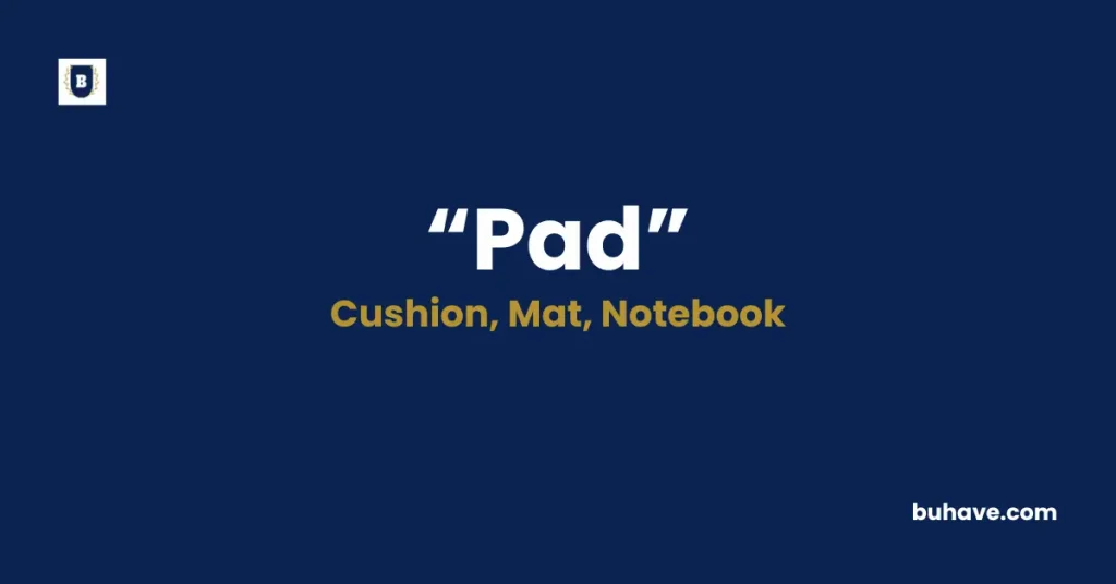 Pad Meaning Definition Synonyms Antonyms