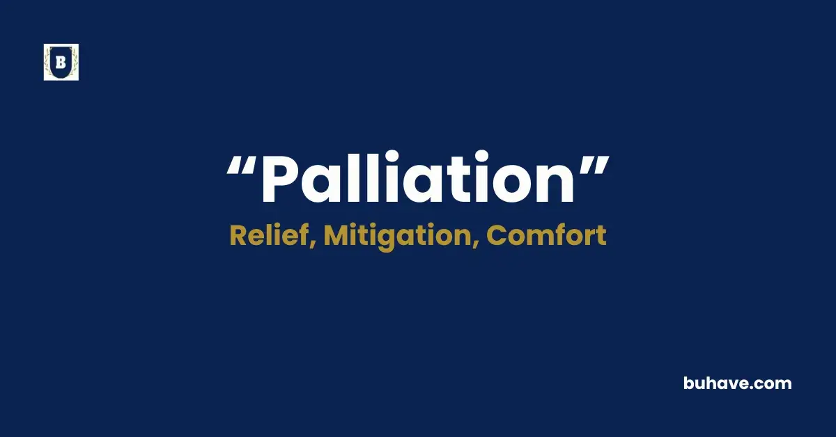 Palliation - Meaning, Definition, Synonyms and Antonyms