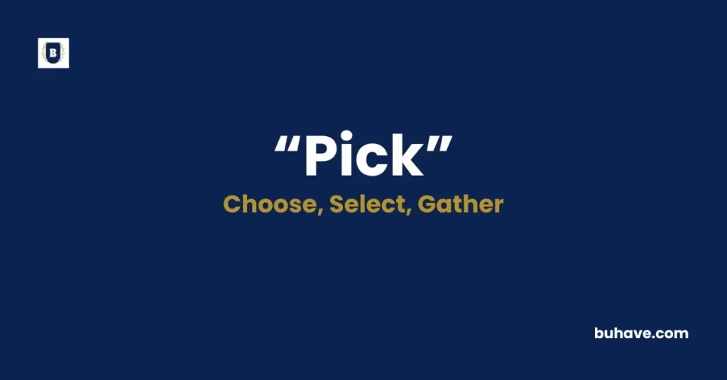 Pick Meaning, Definition, Synonyms, and Antonyms