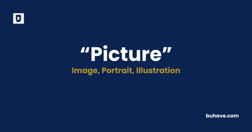 Picture Meaning, Definition, Synonyms, and Antonyms
