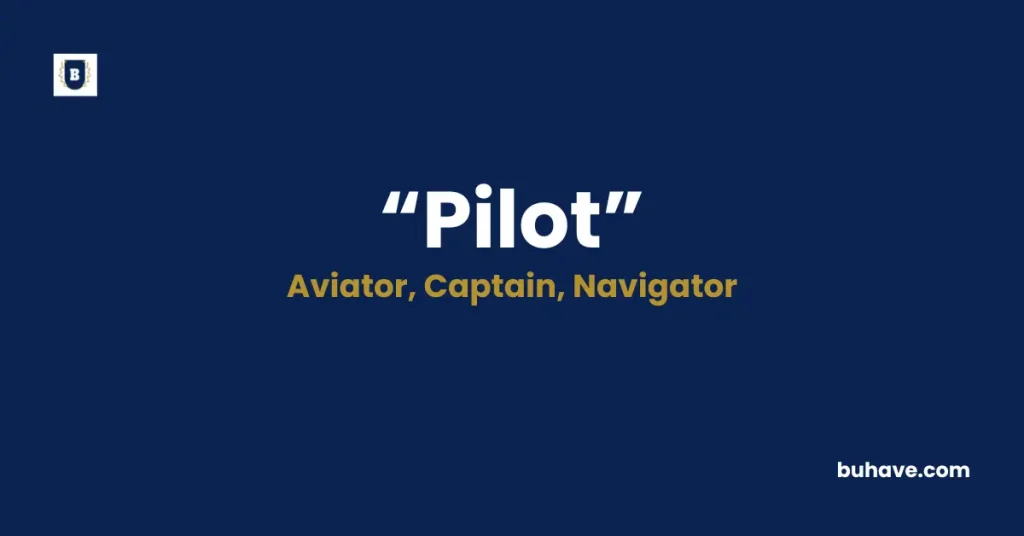 Pilot Meaning, Definition, Synonyms, and Antonyms