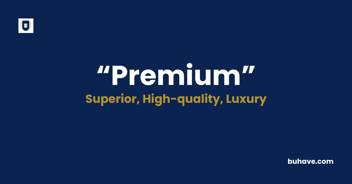 Premium Meaning Definition Synonyms Antonyms