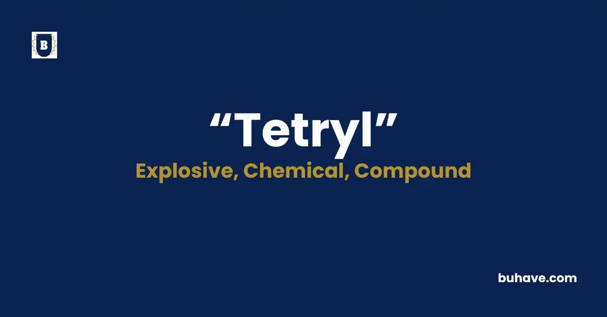 Tetryl - Meaning, Definition, Synonyms and Antonyms