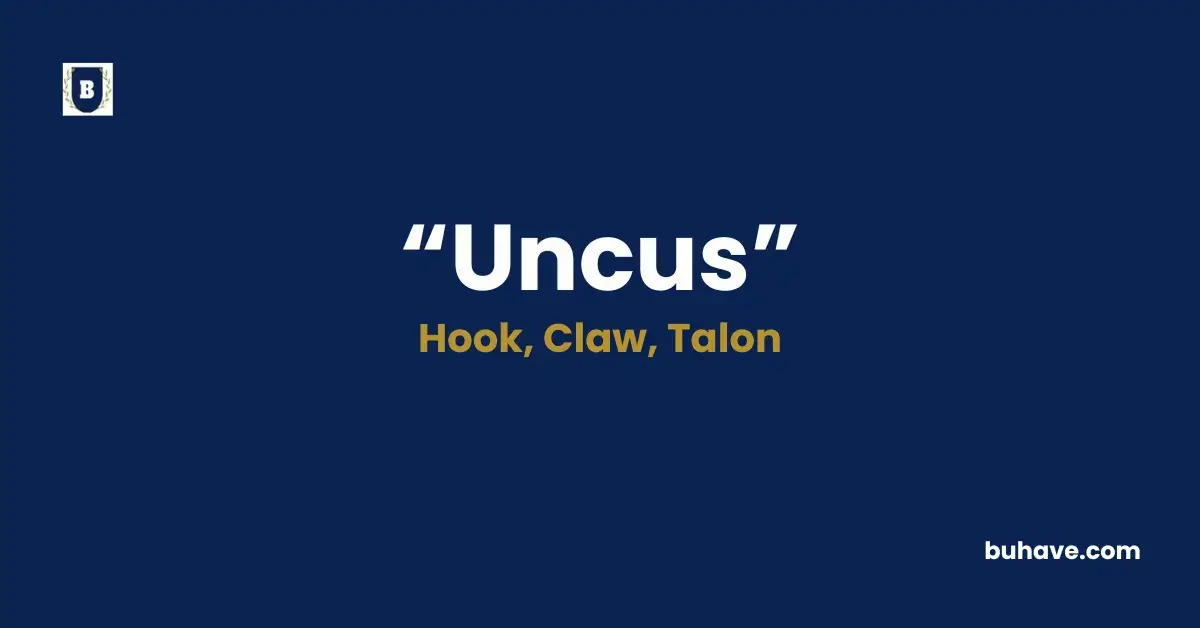 Uncus - Meaning, Definition, Synonyms and Antonyms