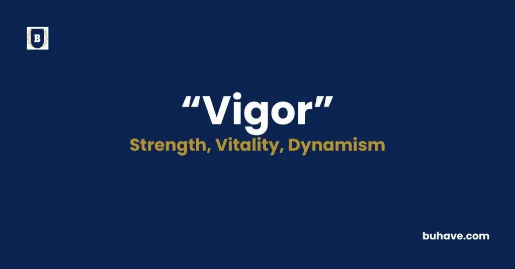 Vigor - Meaning, Definition, Synonyms and Antonyms