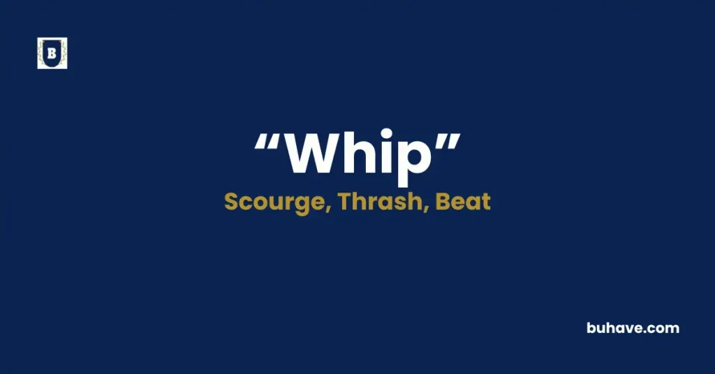 Whip - Meaning, Definition, Synonyms and Antonyms