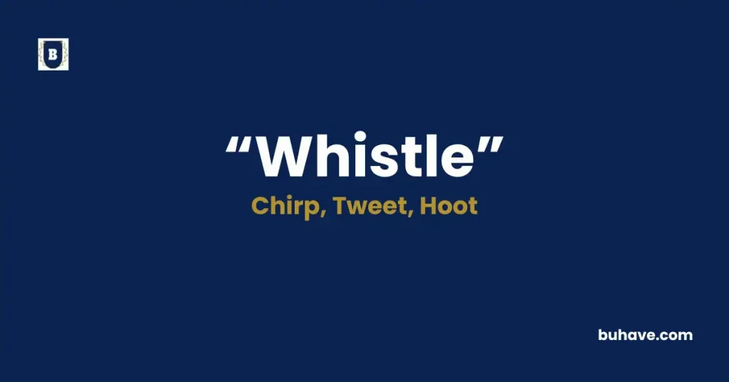 Whistle - Meaning, Definition, Synonyms and Antonyms