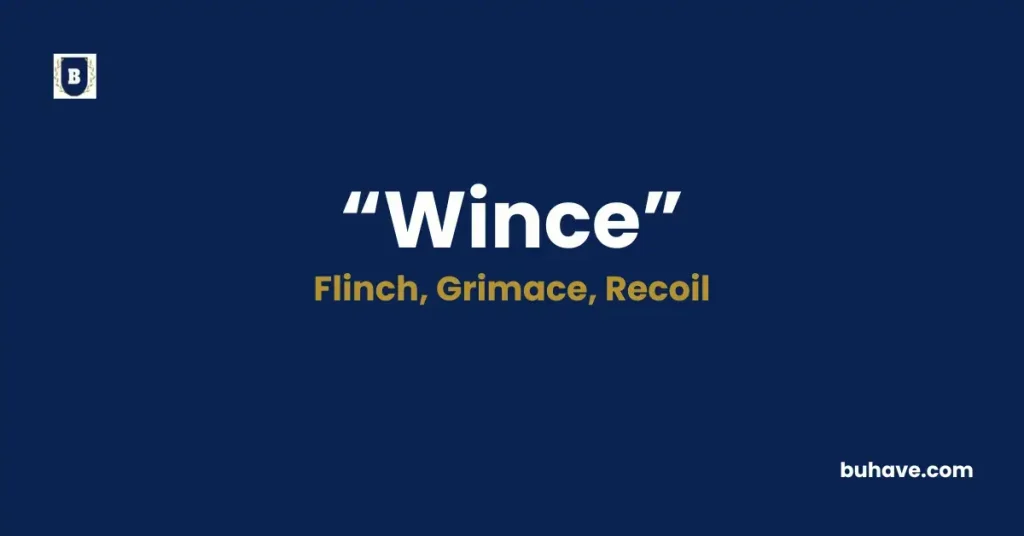 Wince - Meaning, Definition, Synonyms and Antonyms
