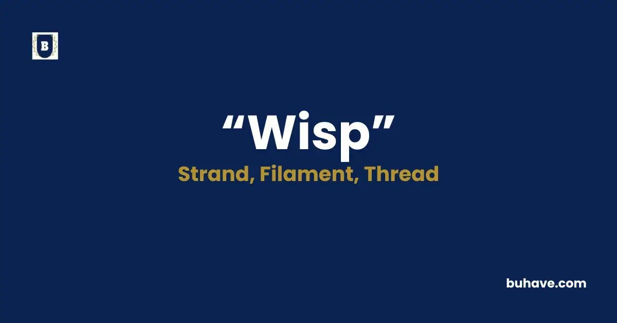 Wisp - Meaning, Definition, Synonyms and Antonyms